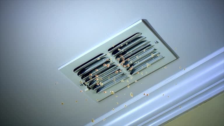 Best Air Duct Cleaning Near Me  in Forest Glen, MD