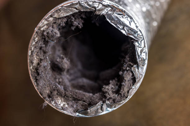 Best HVAC Maintenance and Cleaning  in Forest Glen, MD